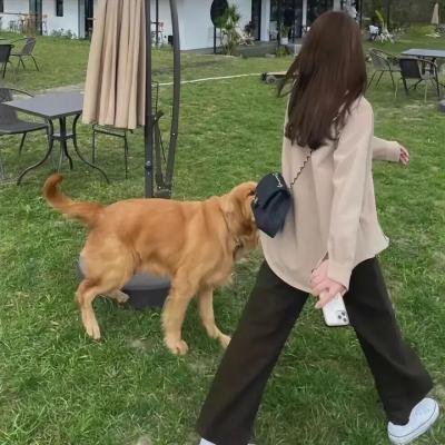 逃出亚卡拉