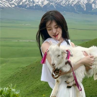 纽约杀人机器